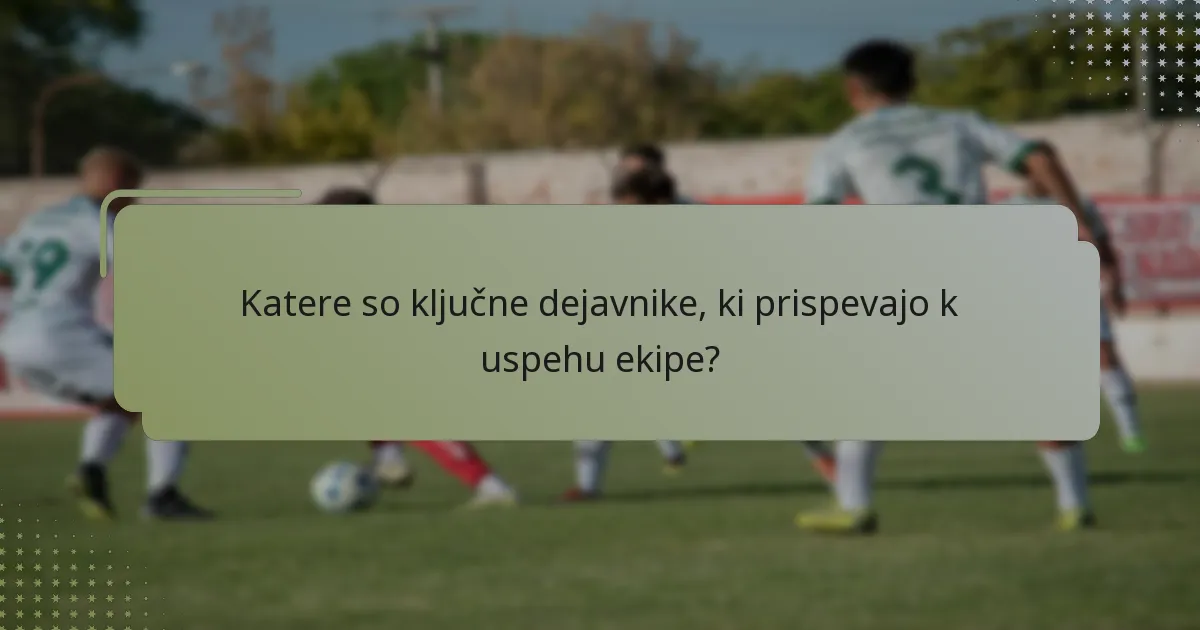 Katere so ključne dejavnike, ki prispevajo k uspehu ekipe?